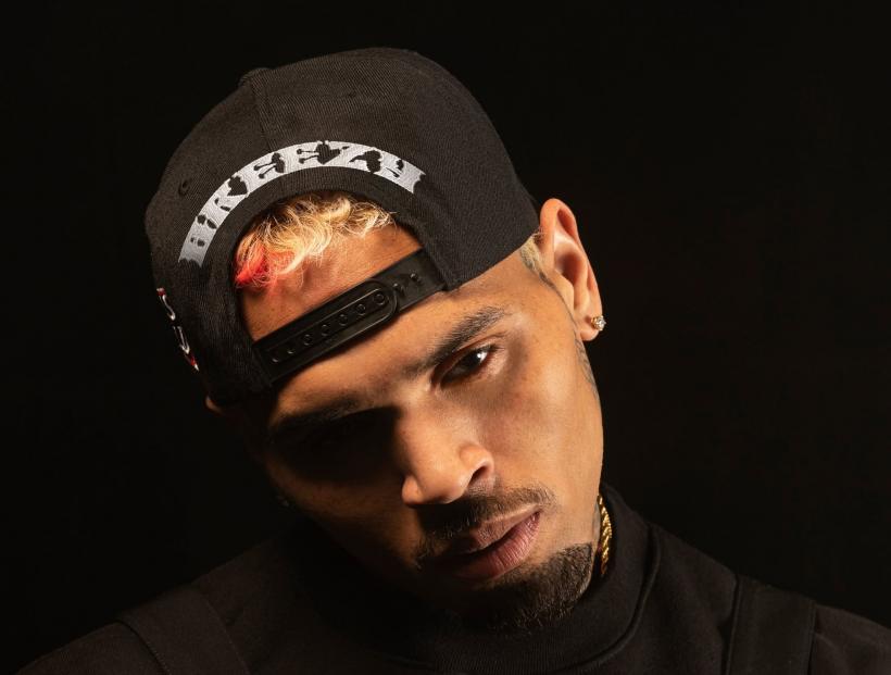 Chris Brown trebuie să plătească 13 milioane de dolari după ce câinele lui a mușcat o menajeră