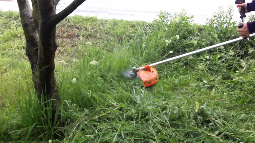 Grădinărit: Greșeala care îți distruge gazonul
