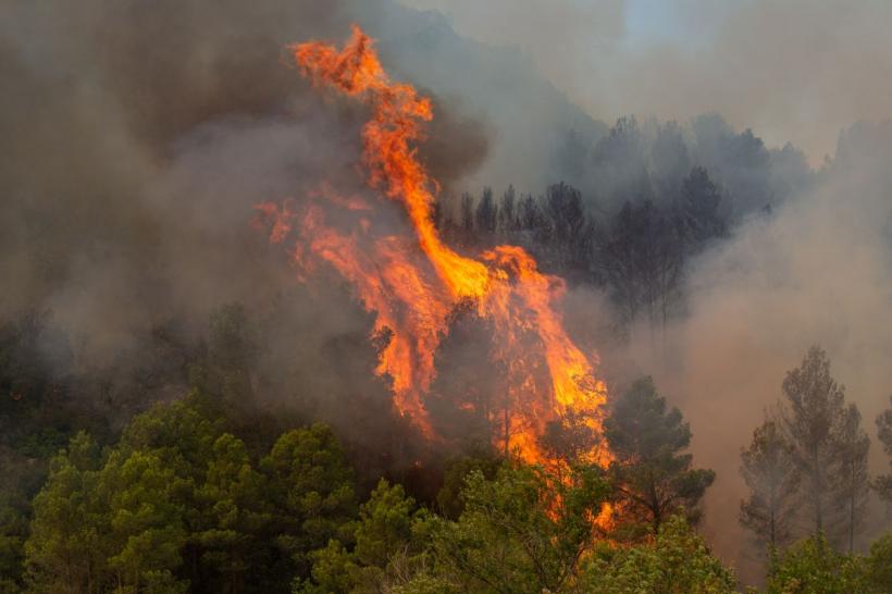 Turul Franței 2026, în pericol din cauza incendiilor. Etapă fără spectatori