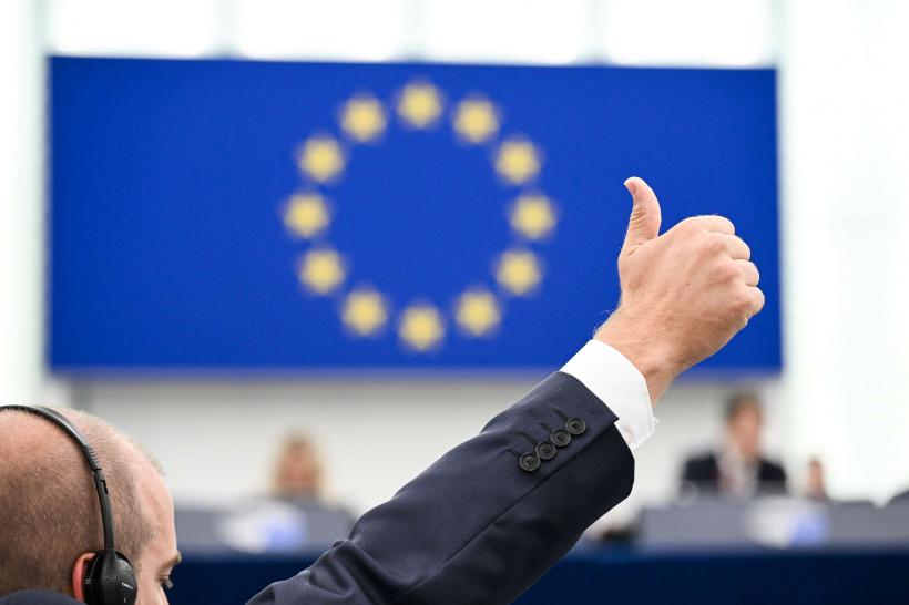 12 țări UE, în coaliția anti-urși. Directiva europeană pentru habitate, ignorată în România 19016781