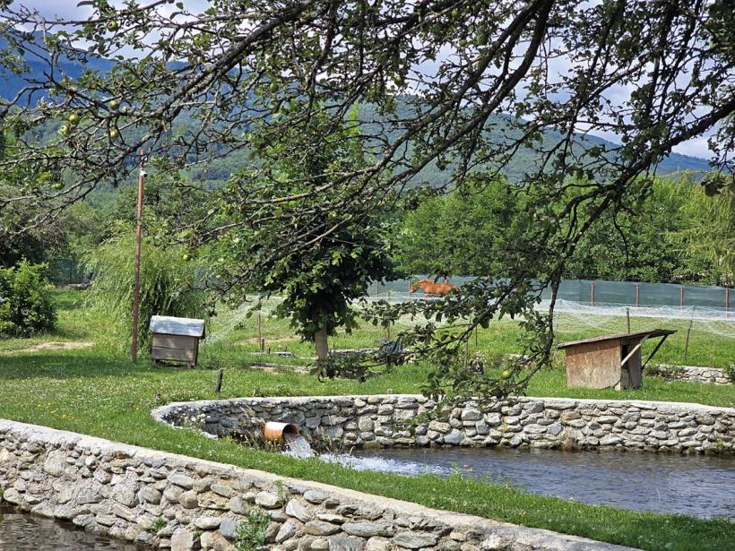 Zona Făgărașului, o nouă descoperire a amatorilor de agroturism 19016947