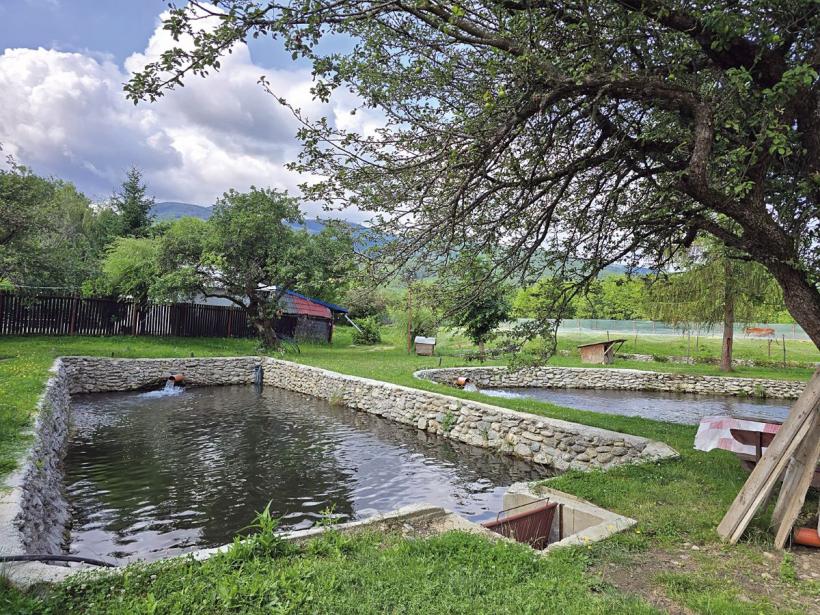 Zona Făgărașului, o nouă descoperire a amatorilor de agroturism 19016950