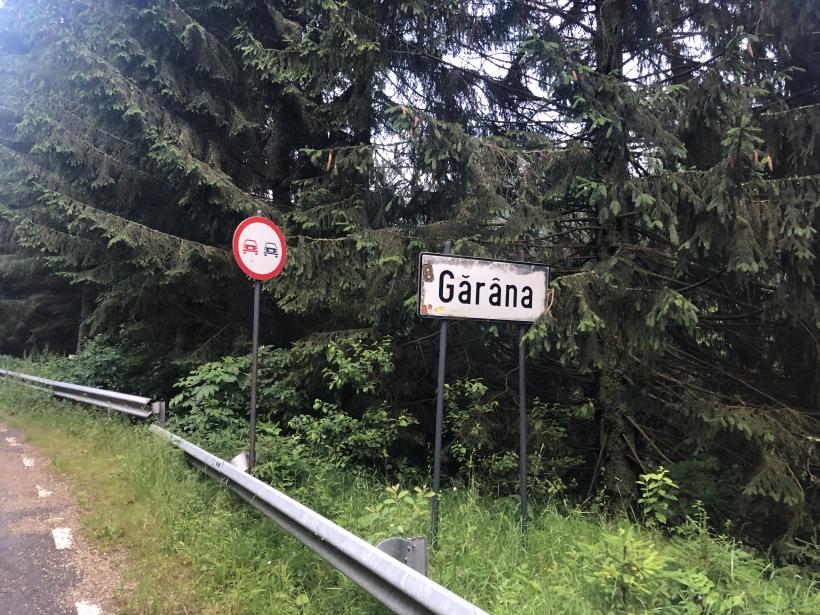 Gărâna Jazz, la 30 de ani. Cum a ajuns un sat părăsit pe harta marilor festivaluri ale lumii 19017262