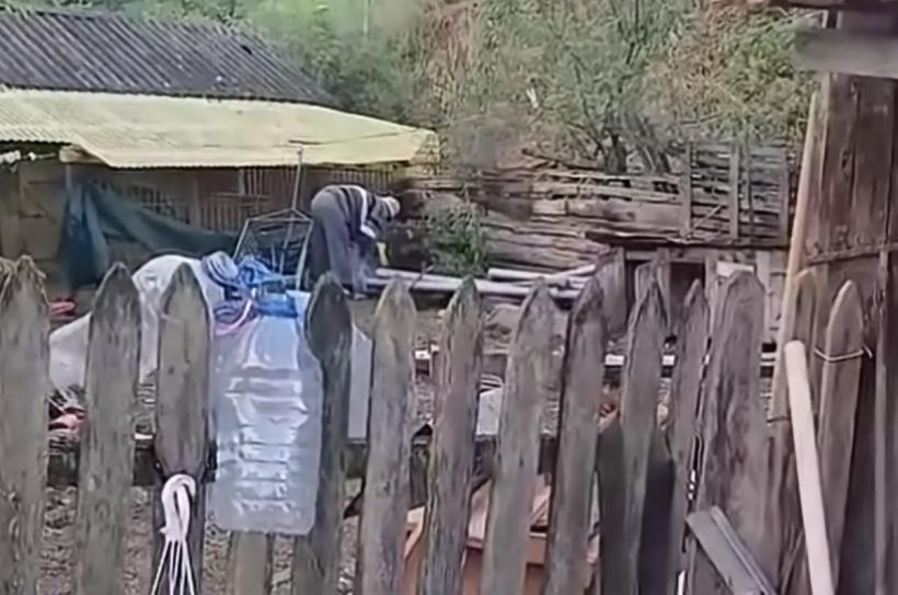 Un bătrân a ucis o pisică. Acum este cercetat penal