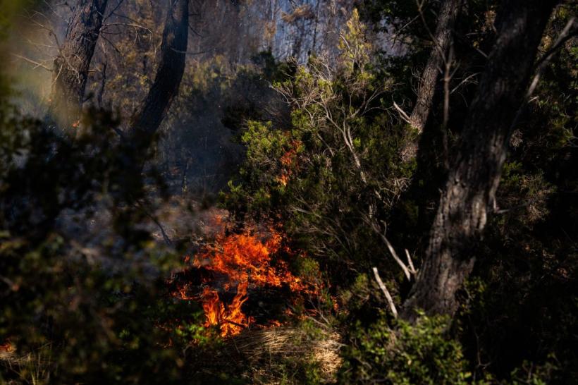 Tragedie fără precedent în Spania: cel puțin 12 morți după incendiile devastatoare din Andaluzia, pe fondul valului extrem de căldură 19017538
