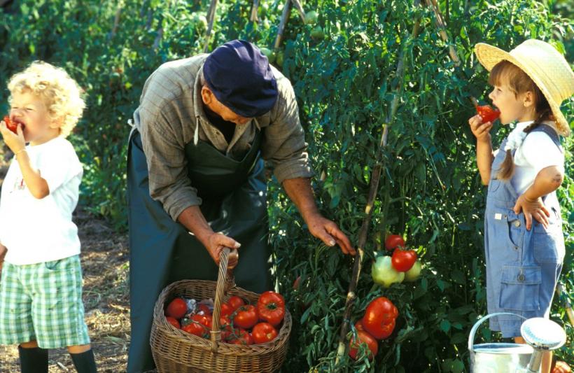 6 trucuri simple care îi ajută pe copii să accepte mai multe legume