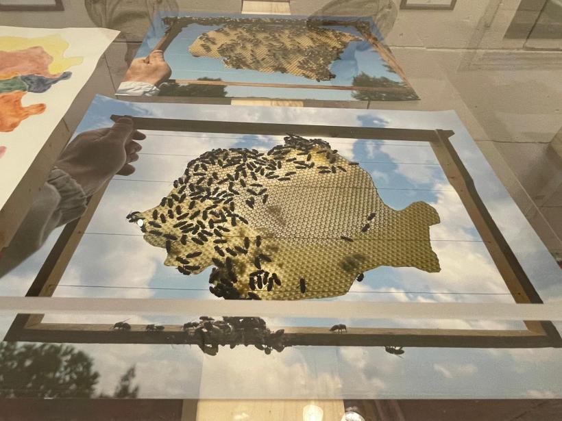 Mircea Cantor a inaugurat expoziția „Constelații ale Antichității” la Muzeul Palazzo Altemps din Roma 19017724