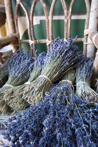 Când recoltezi florile de lavandă? Păstrează planta înflorită toată vara