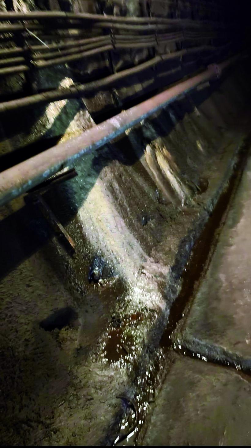 REPORTAJ. Tură de noapte la metrou: milioane de vieți garantate pe un caiet A4. Viața nevăzută a „liniorilor” din galeriile Metrorex 19018000