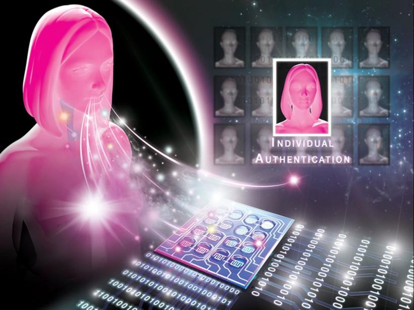 Eroare biometrică la frontiera României: Două gemene, aceeași identitate digitală