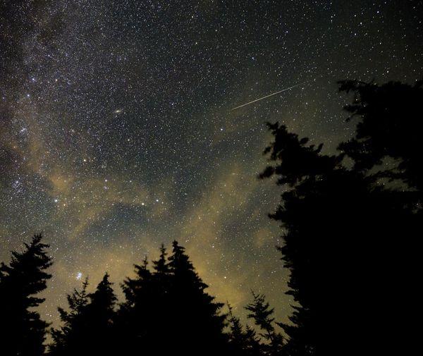 Ploaia de foc a verii: Perseidele transformă cerul într-un spectacol cosmic