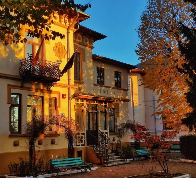 Ce semnificație are numele Bălașa, purtat de domnițe și nobile 19019346