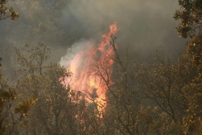 Franța evacuează zeci de mii de persoane din cauza incendiilor de vegetație. MAE avertizează românii care călătoresc în sudul țării
