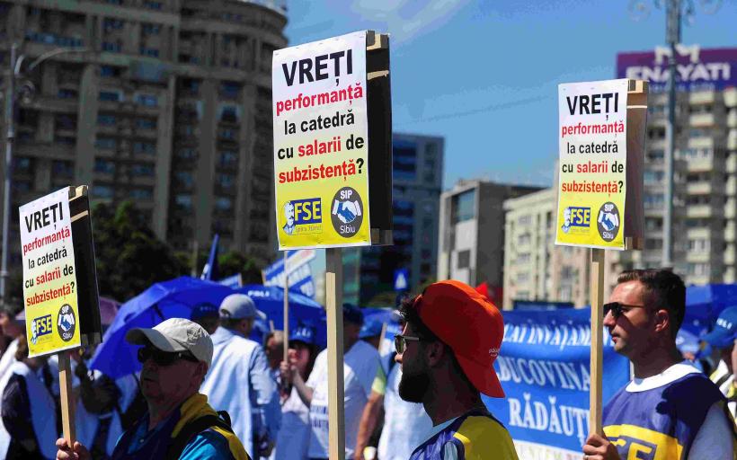 Culmea ipocriziei: „Transparentizare” și deserturi vegane - o idee a ministrului Pîslaru care ne costă 1 milion de euro 19019572
