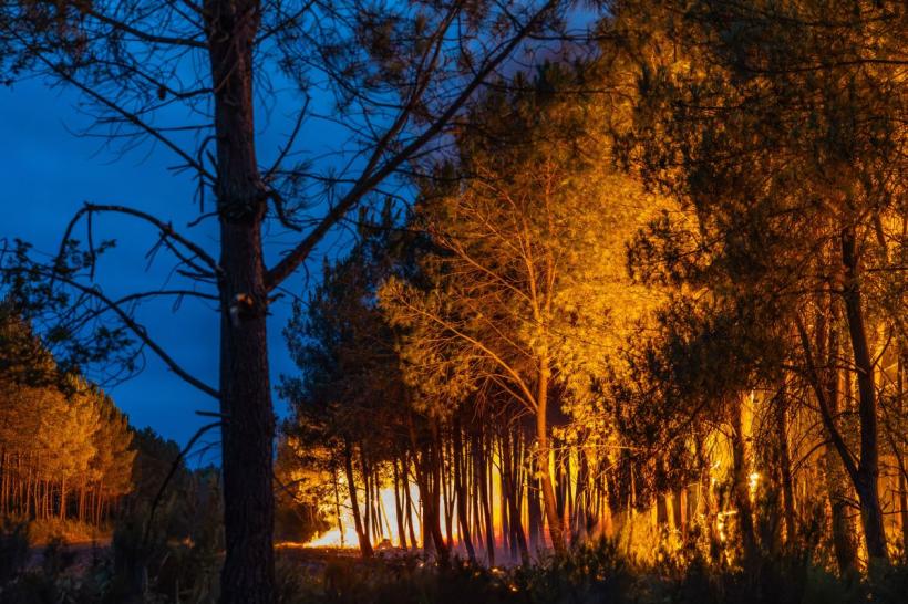 „Cenușă ca ninsoarea și flăcări cât blocul.” Peste 250.000 de oameni fug din calea incendiilor devastatoare din Franța și Spania 19019830