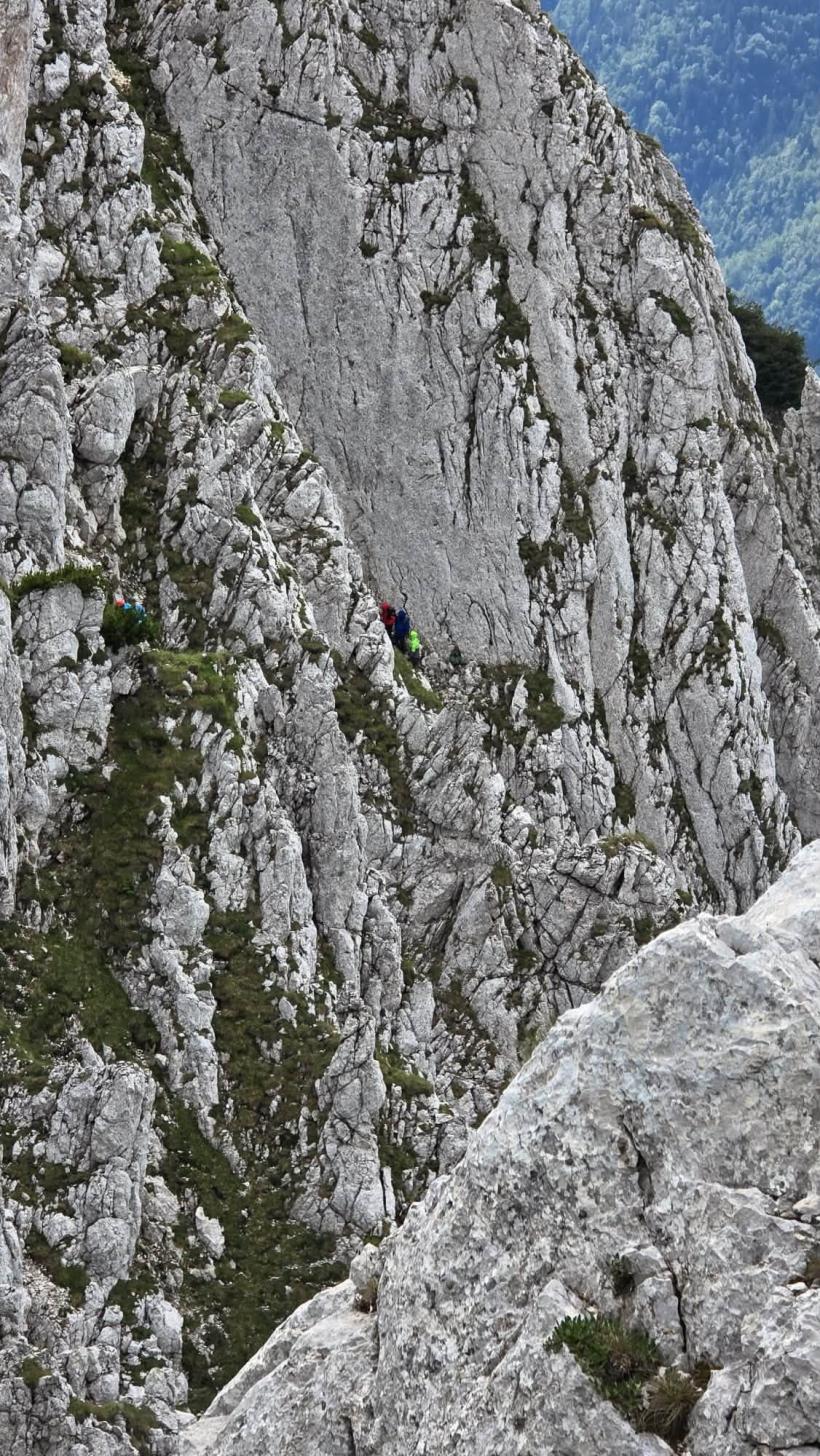Fără hamuri, fără coardă, fără minte: Patru turiști au vrut să scurteze traseul pe Piatra Craiului și au ajuns atârnați pe un perete de stâncă 19019902