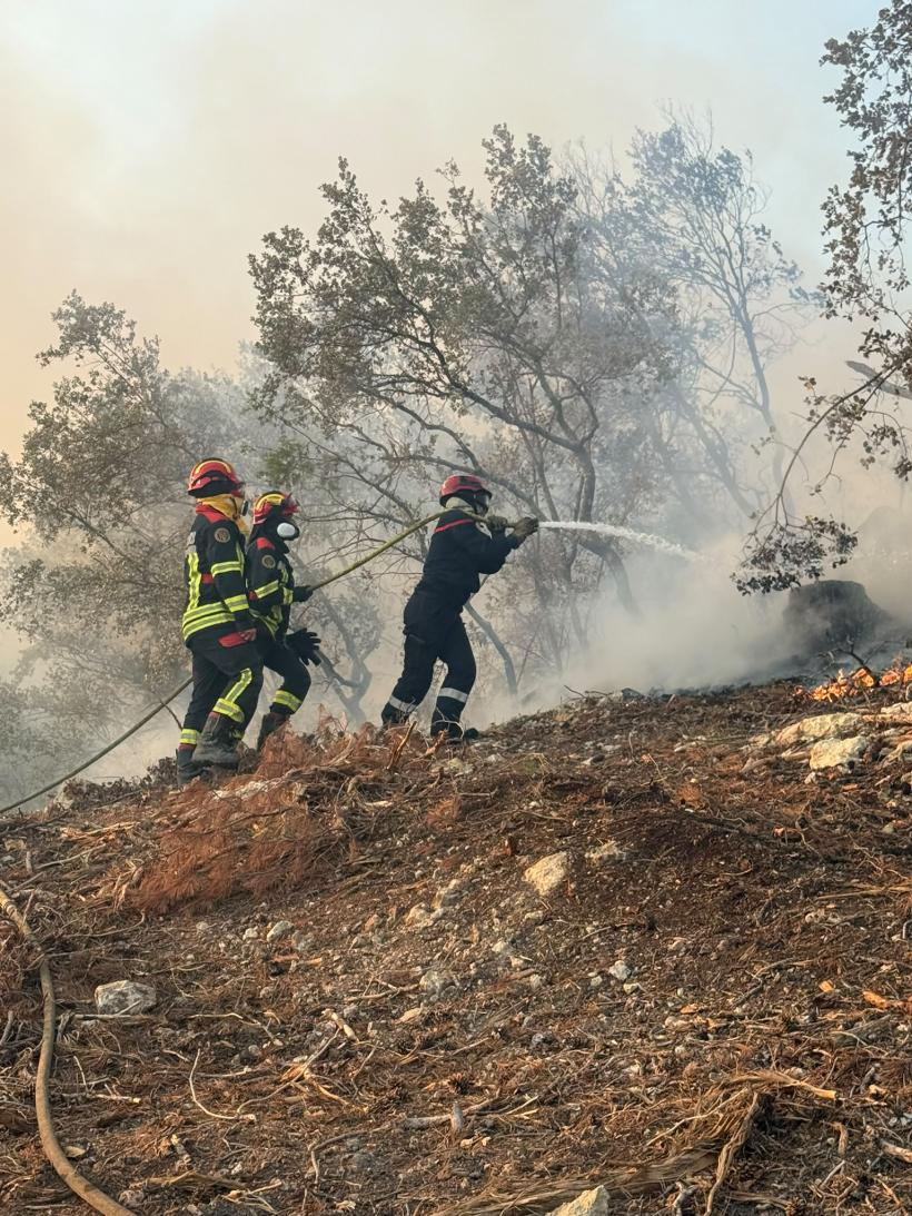Pompierii români sting incendii pentru a salva locuințele francezilor 19020462