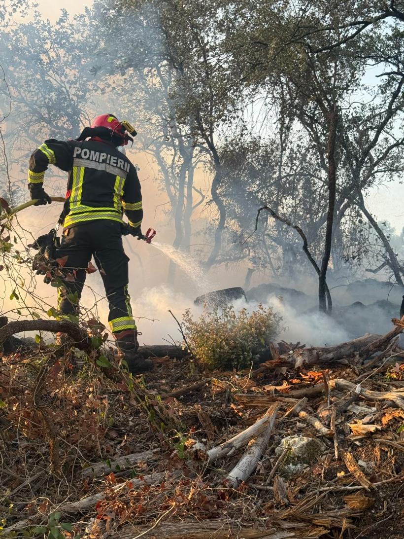 Pompierii români sting incendii pentru a salva locuințele francezilor 19020463