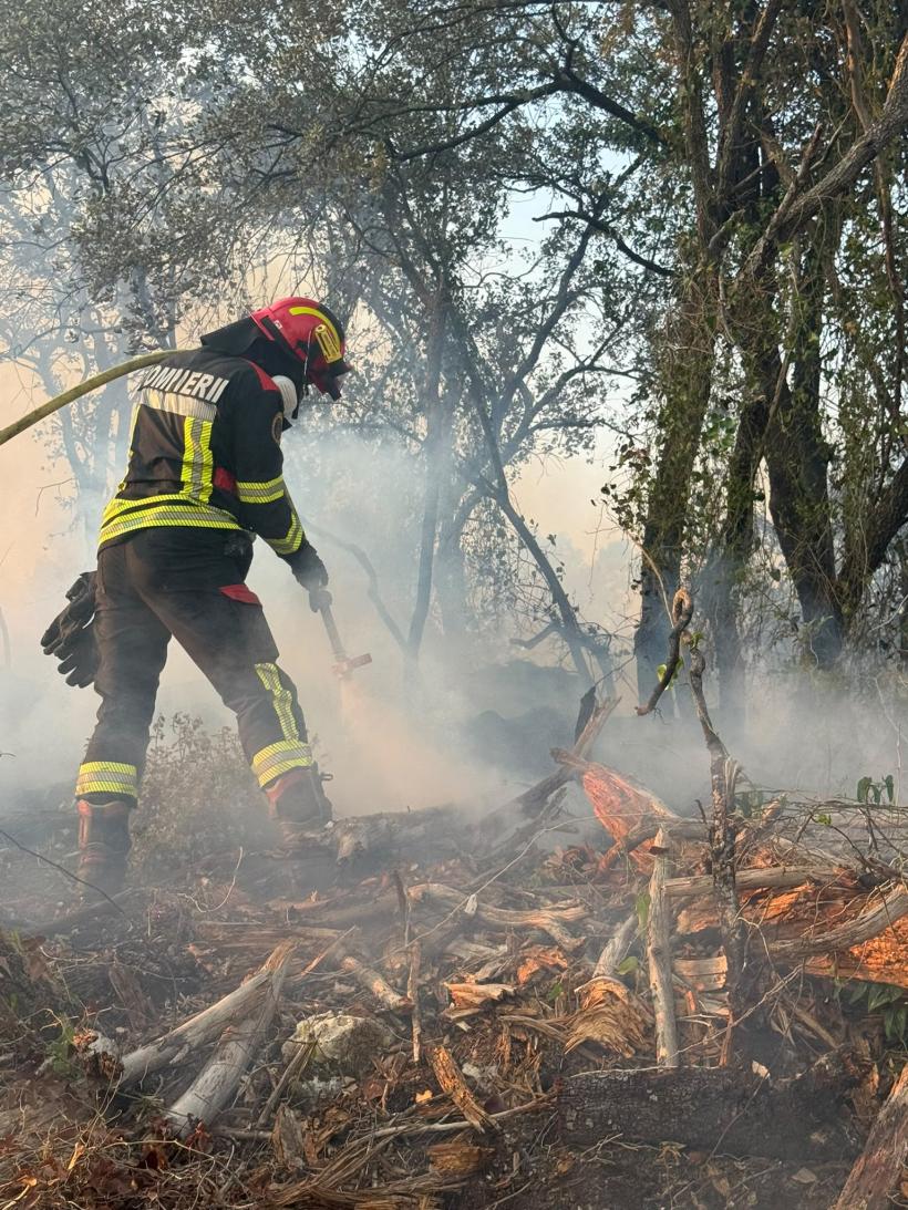 Pompierii români sting incendii pentru a salva locuințele francezilor 19020464