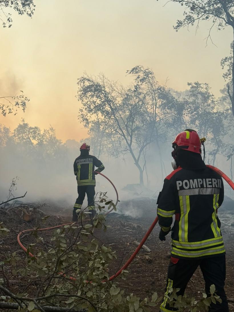 Pompierii români sting incendii pentru a salva locuințele francezilor 19020465