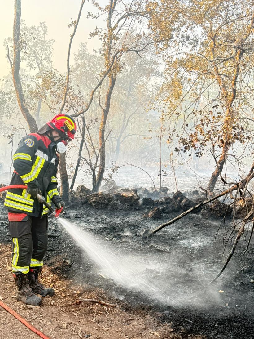 Pompierii români sting incendii pentru a salva locuințele francezilor