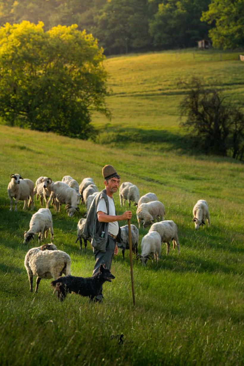 Ecologism cu japca. Natura 2000, extinsă la 30% din teritoriu, fără despăgubiri pentru proprietari 19021303