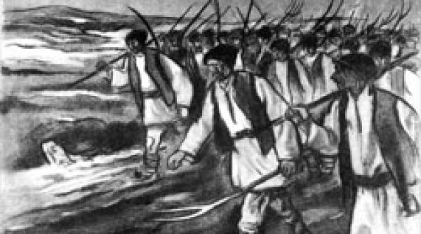 campania jurnalul national 1907 2007 un secol de flamanzi