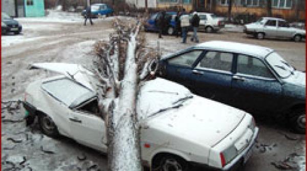 prima ninsoare serioasa