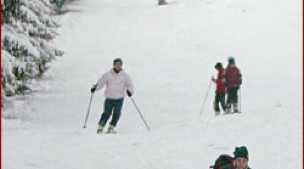 distractie in parang