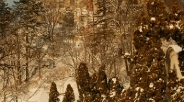 vanzare incerta la cine ajunge castelul bran