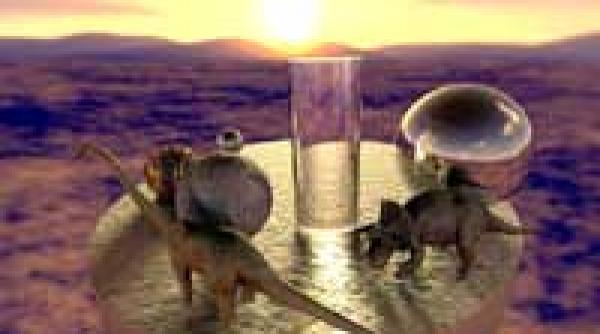 barul de la capatul lumii