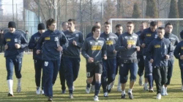 poli timisoara curatenie masiva