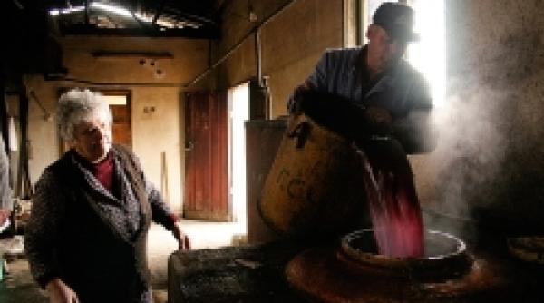 sofia bulgarii au declansat scandalul tuicii