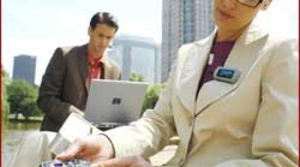 raport piata it c 6 7 miliarde de euro