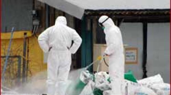 aviara revine in forta