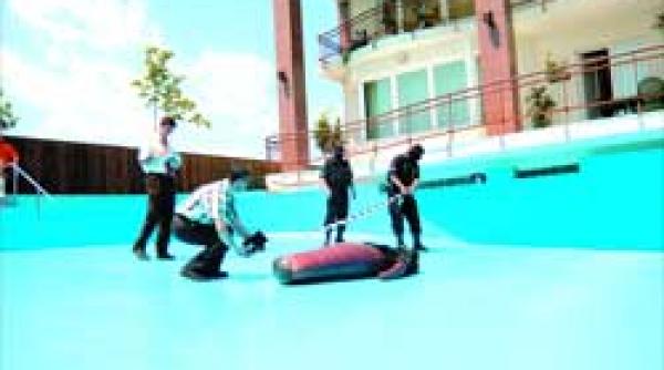 sinucigasii tranzitiei