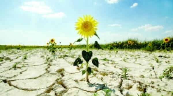 2007 calduros si secetos