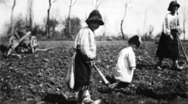 cum sunt romanii hibe si naravuri