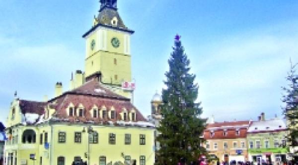 romania in coaja de brad