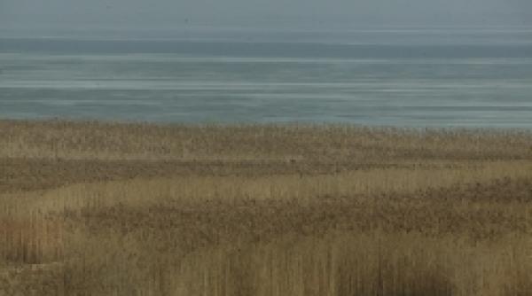 terenurile de la babadag au anulat licitatia