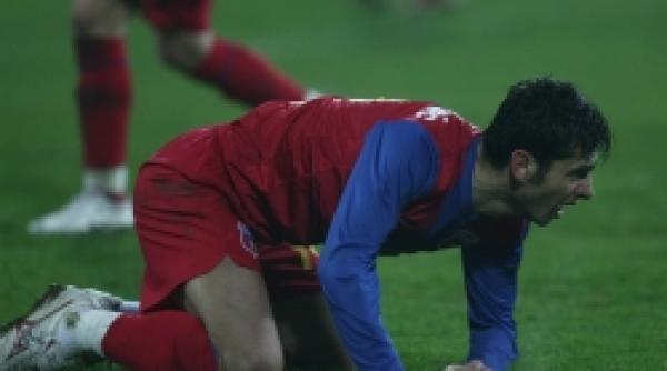 steaua emotii pentru dica