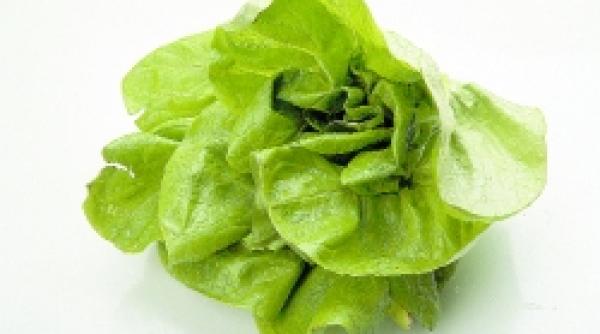 acasa si in calatorie alimentele vechilor egipteni