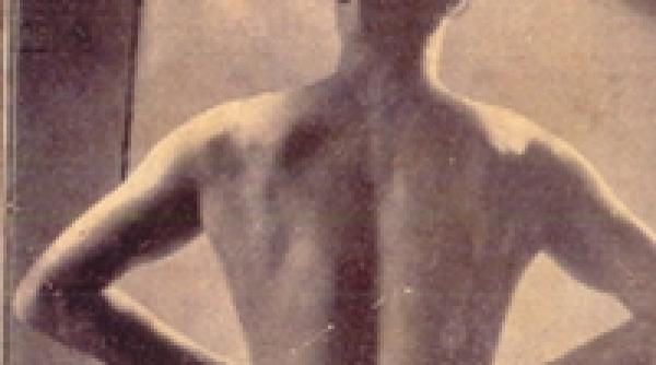 pamflet despre arta si viata