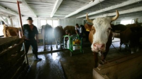 acord rusia accepta cu jumatate de gura