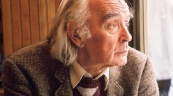 sa ne cunoastem scriitorii emil brumaru