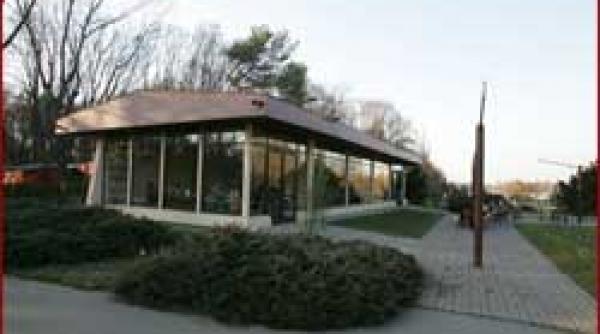 videanu fraierit afacere pedista in herastrau