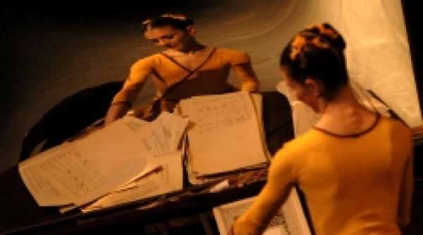 nopti cu stele lectia numita alina cojocaru