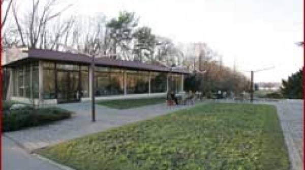 afaceri la capitala firma in lichidare cu contract pe 20 ani