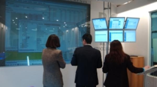 investitii banii fac pui