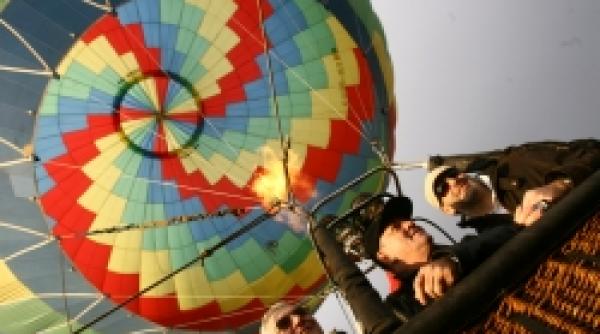 zece ani alifantis si zan live